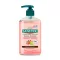 Sanytol Antibakteriális Folyékony Szappan Grapefruit és Lime 250 ml