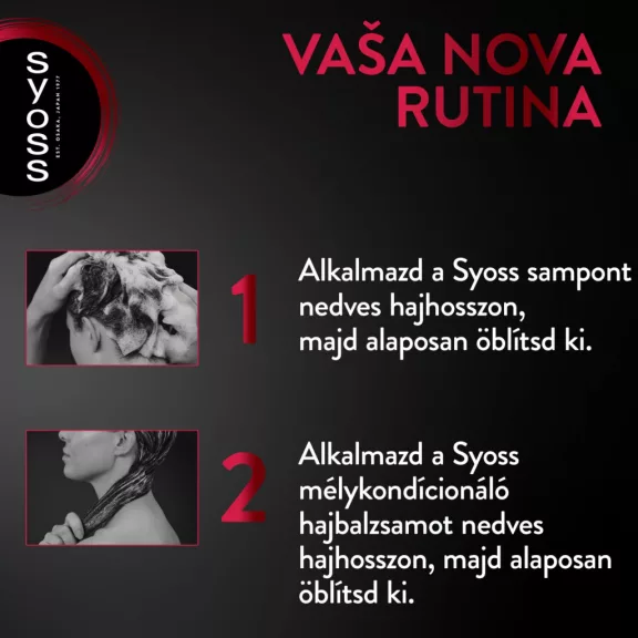 Syoss Colorist balzsam festett hajra 440 ml Syoss Colorist balzsam festett hajra 440 ml
