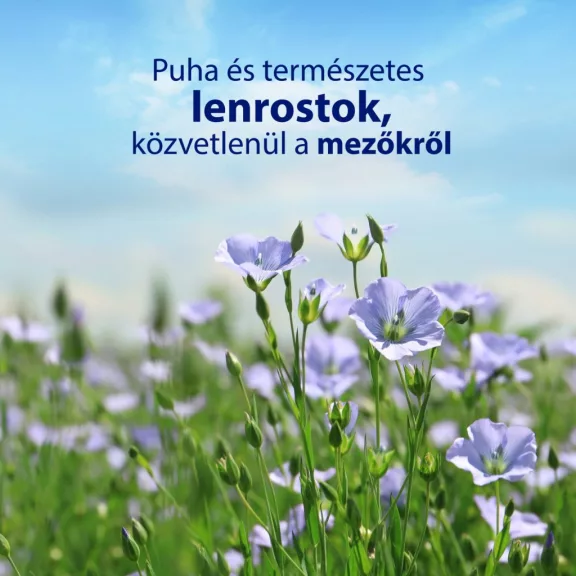 Zewa Almond Milk nedves toalettpapír Big Pack 80 db Zewa Almond Milk nedves toalettpapír Big Pack 80 db