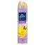 Glade Blooming Flowers légfrissítő aeroszol 300 ml