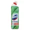 DOMESTOS Protection fertőtlenítő 700 ml Eucaliptus&Wild mint