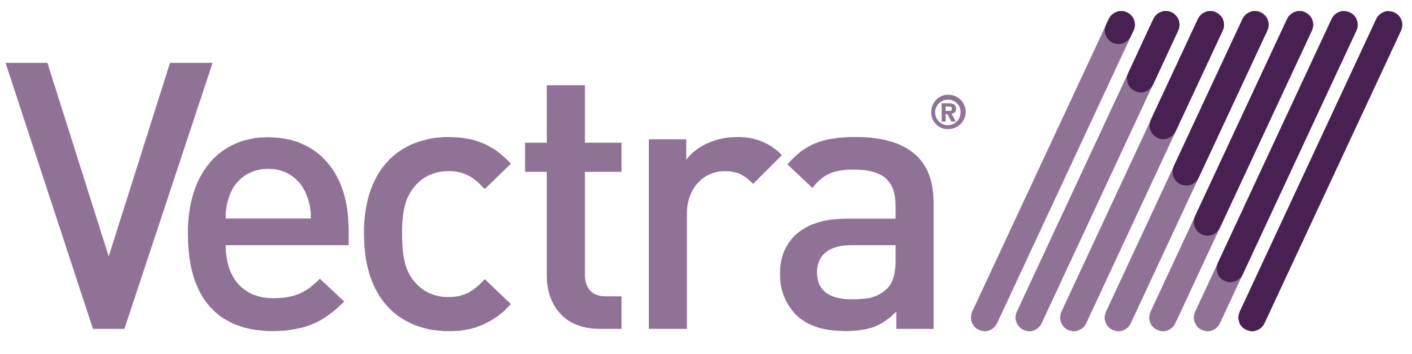 vectra 3d brand logo